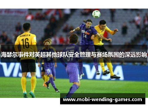 海瑟尔事件对英超其他球队安全管理与赛场氛围的深远影响